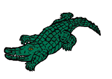 Allie the Gator and Her Treat イラスト