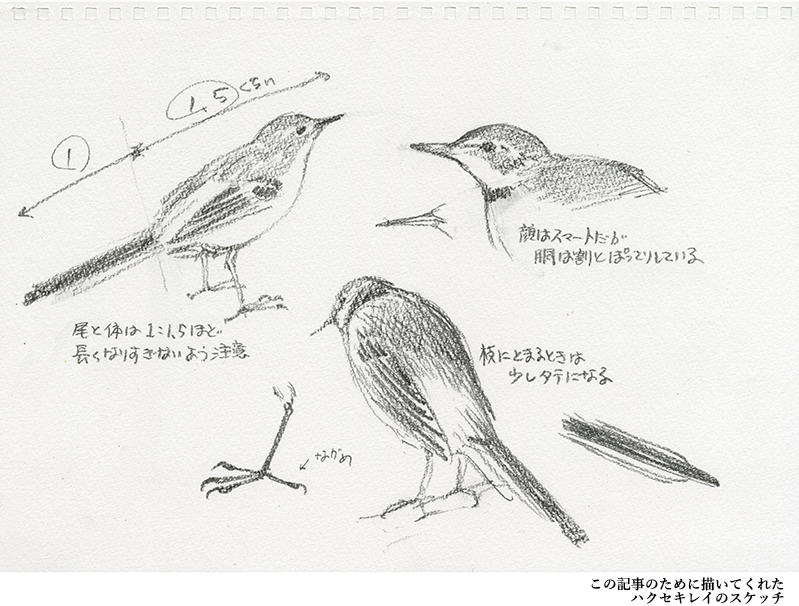 作者のことば ユカワアツコさん 草木鳥鳥文様 ふくふく本棚 福音館書店公式webマガジン