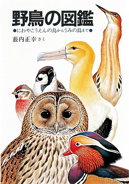 野鳥の図鑑