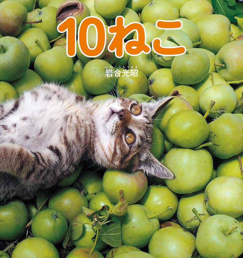 １０ねこ