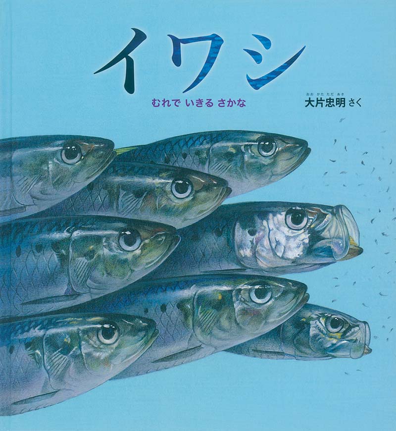 イワシ 福音館書店