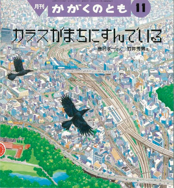 カラスが まちに すんでいる