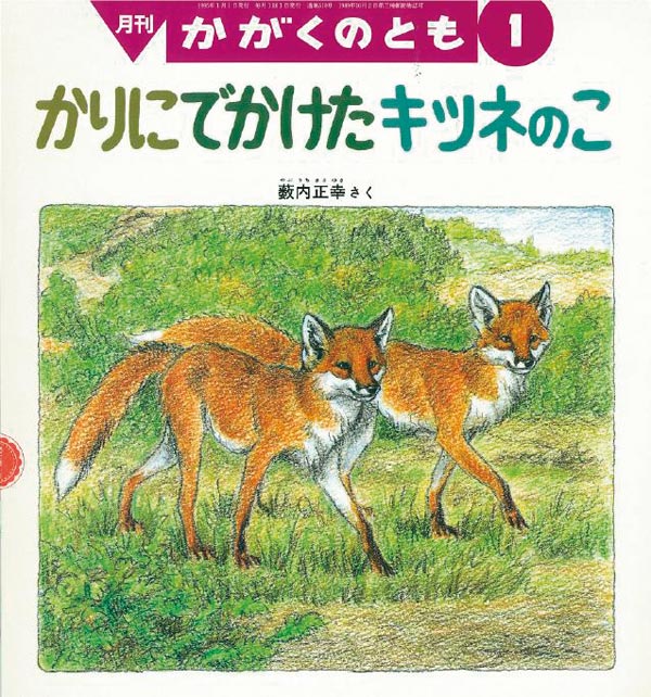 かりに でかけた キツネのこ 福音館書店