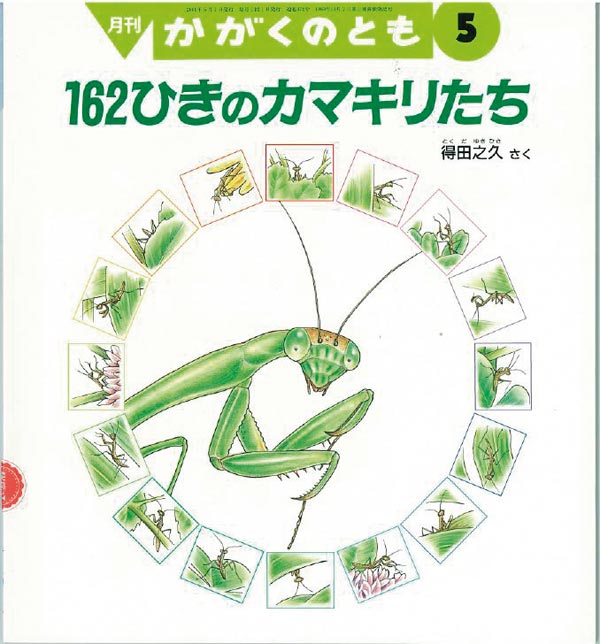 162ひきの カマキリたち