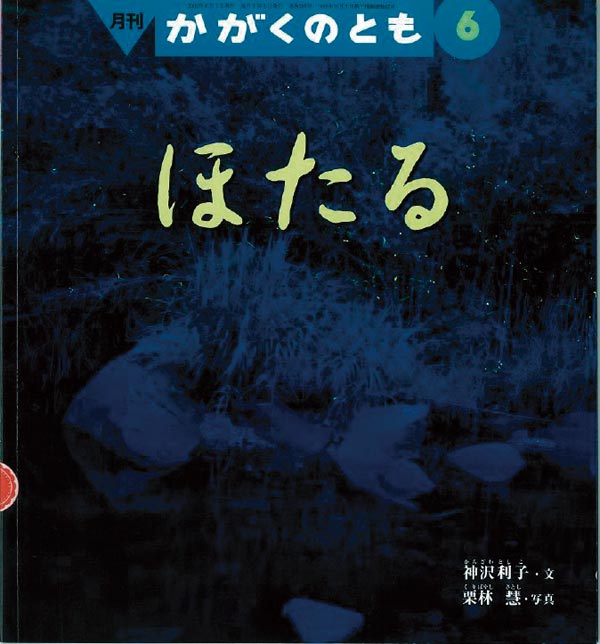 ほたる 福音館書店