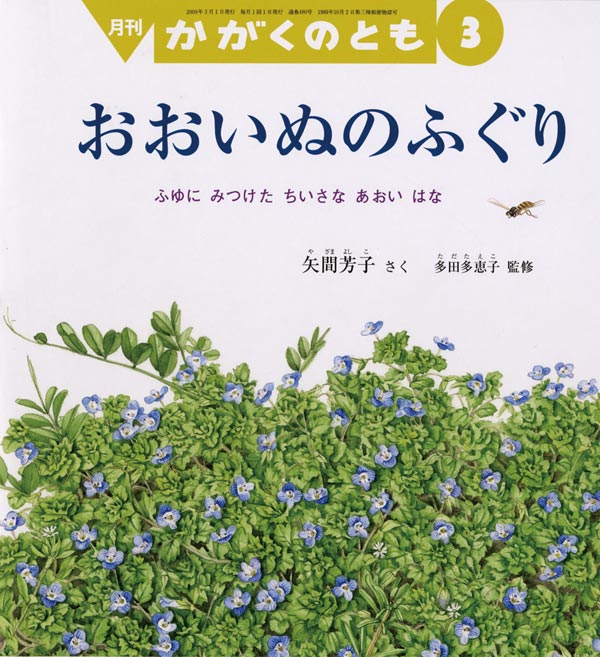 おおいぬのふぐり 福音館書店