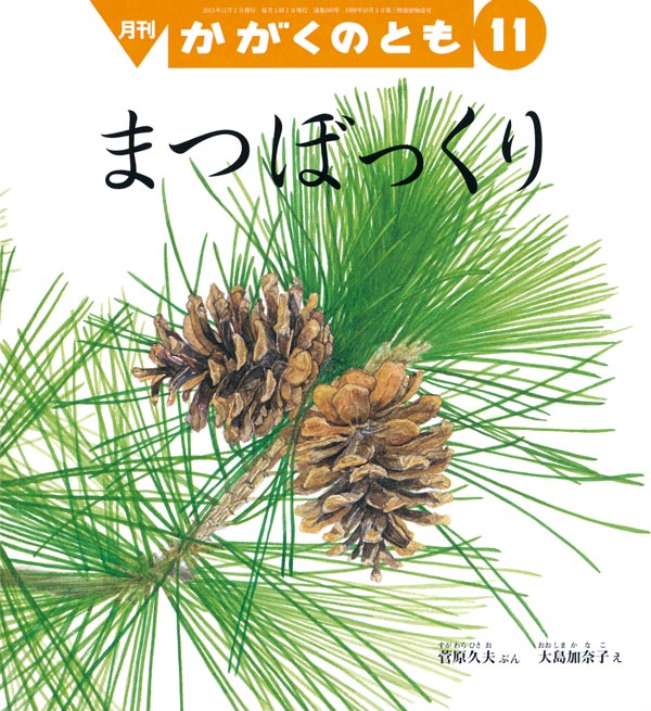 まつぼっくり 福音館書店