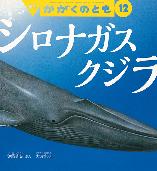 シロナガスクジラ 福音館書店