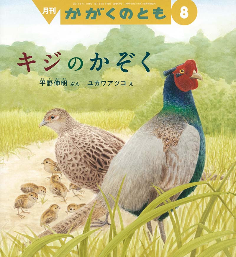 キジの かぞく 福音館書店