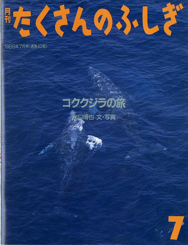 コククジラの旅