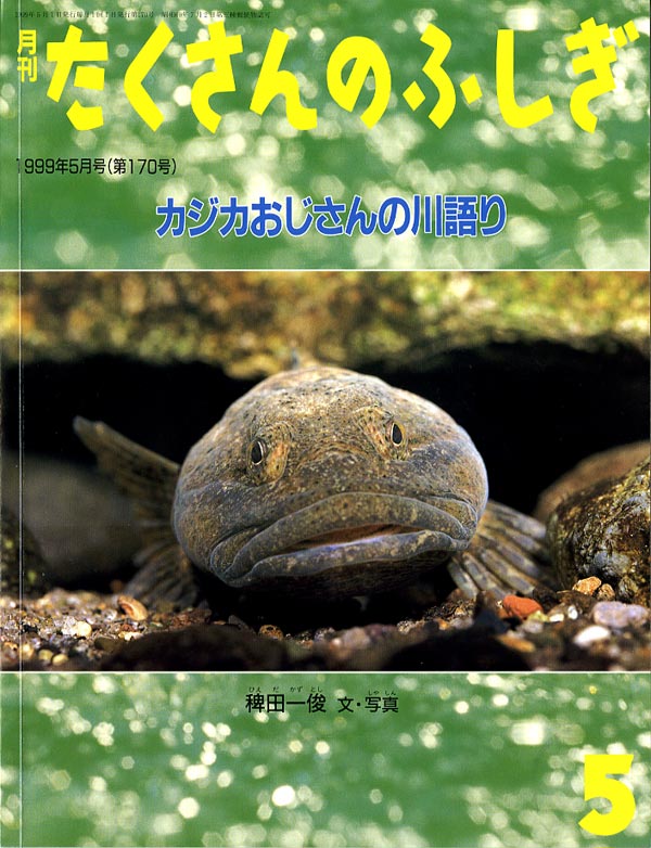 カジカおじさんの川語り 福音館書店