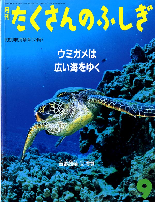 ウミガメは広い海をゆく