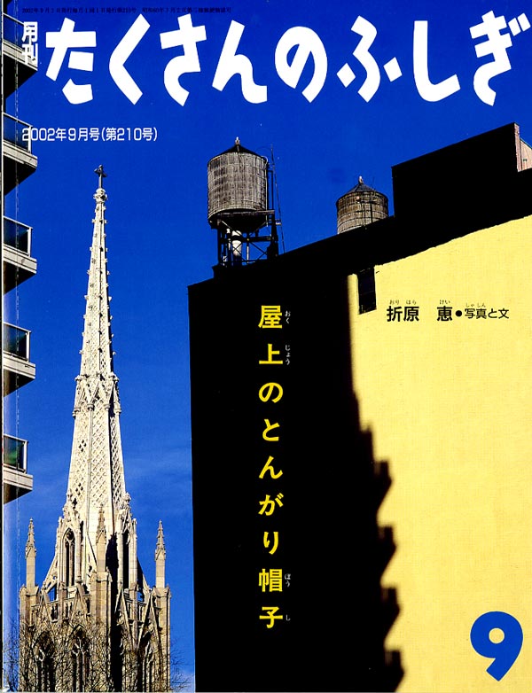 屋上のとんがり帽子