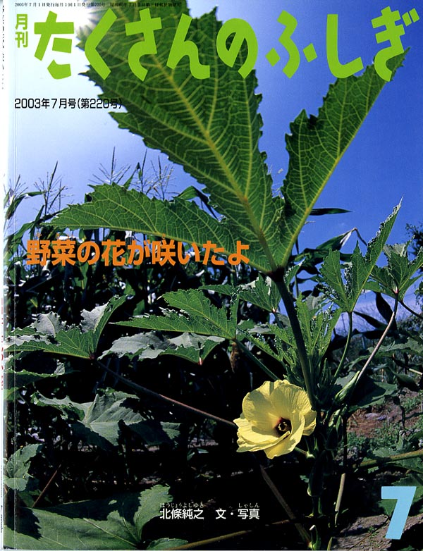 野菜の花が咲いたよ 福音館書店