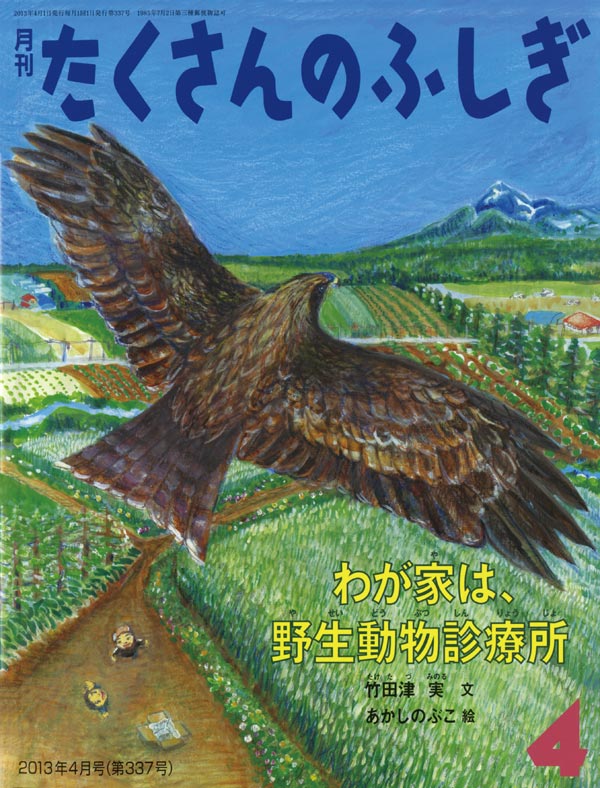 わが家は、野生動物診療所