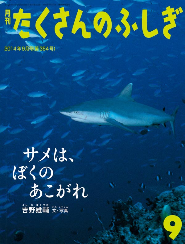 サメは、ぼくのあこがれ