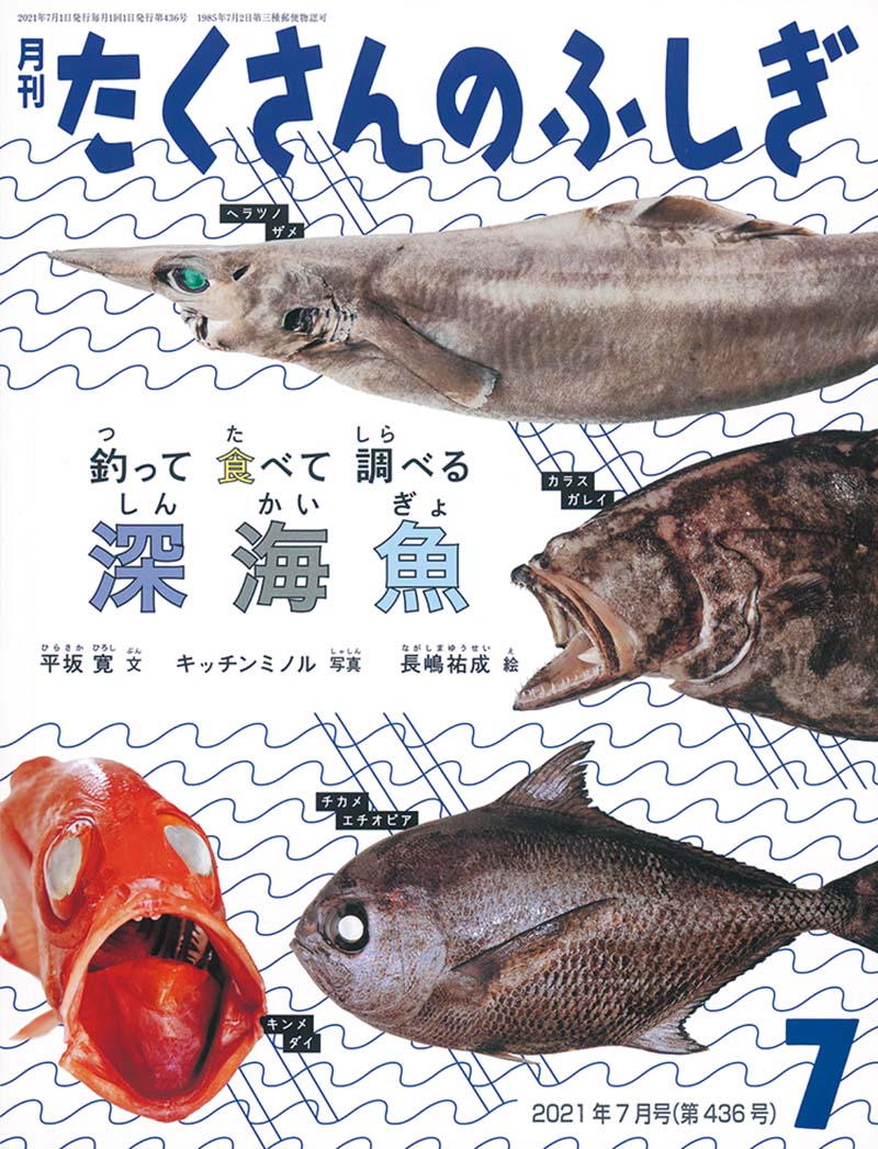 釣って 食べて 調べる 深海魚