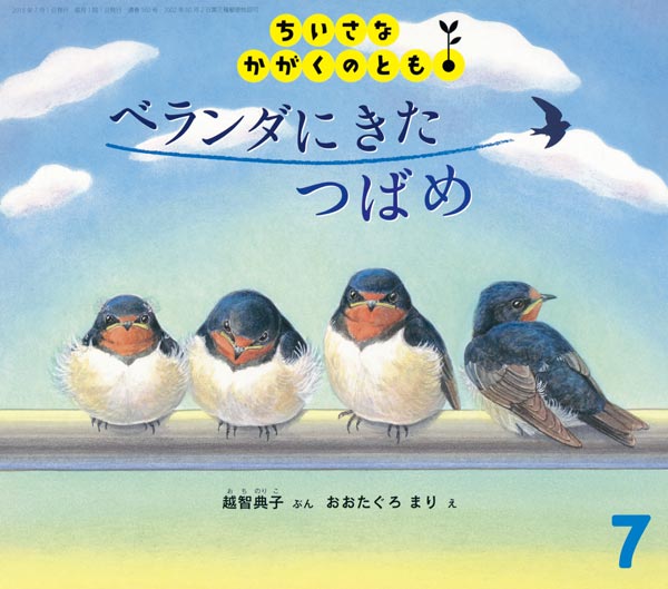 ベランダに きた つばめ 福音館書店