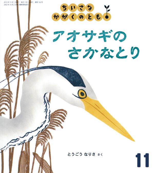 アオサギの さかなとり