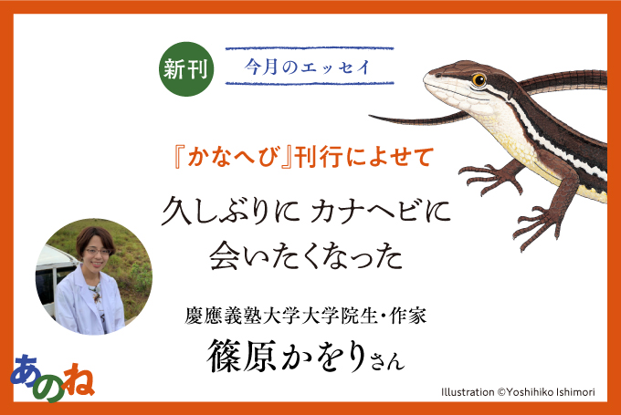 特別エッセイ 篠原かをりさん 久しぶりにカナヘビに会いたくなった かなへび 刊行によせて ふくふく本棚 福音館書店公式webマガジン