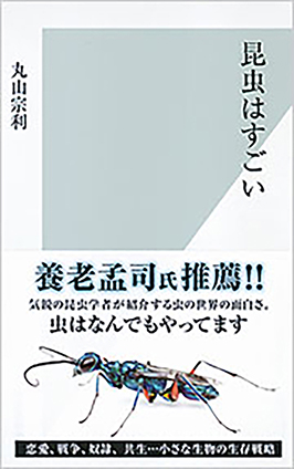 昆虫はすごい 丸山宗利 著 光文社新書