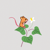 野ネズミきょうだいの草花あそび
