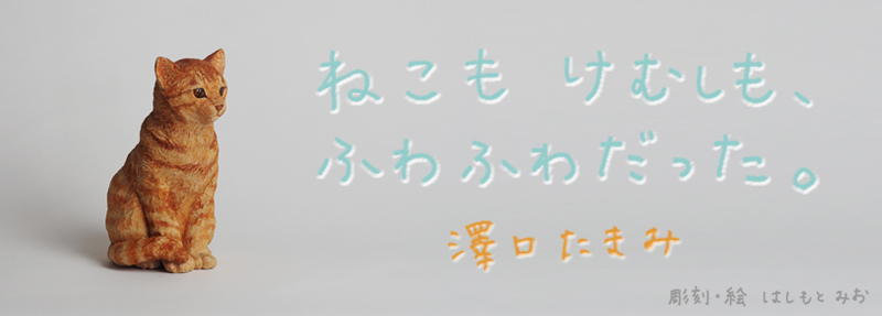 ねこもけむしも、ふわふわだった。 澤口たまみ はしもとみお